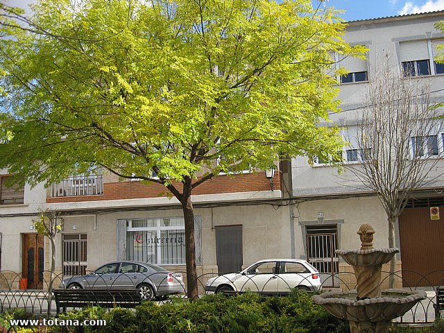 Viaje a Tarazona de la Mancha - 99