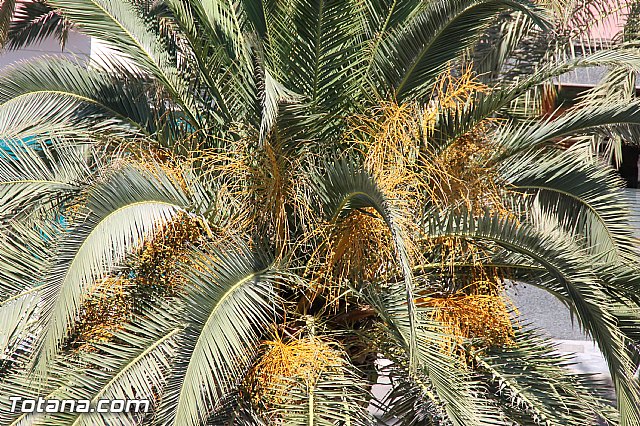 Taller de Cocina Creativa 2016 - 26