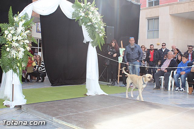 Domingo de tendencias - 71