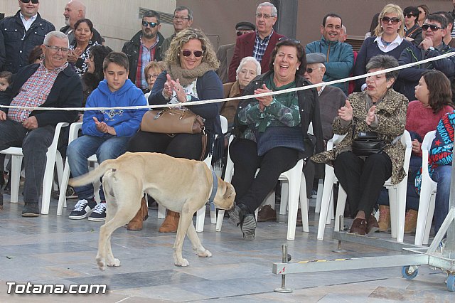 Domingo de tendencias - 72