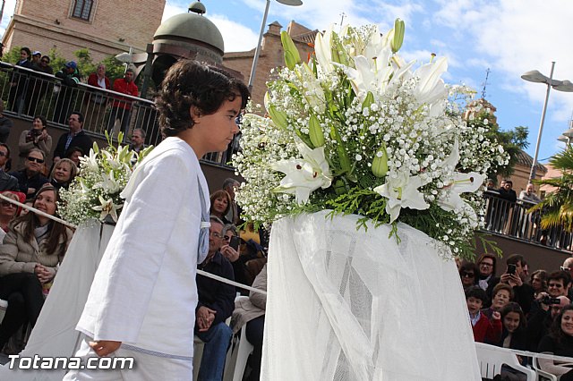 Domingo de tendencias - 218