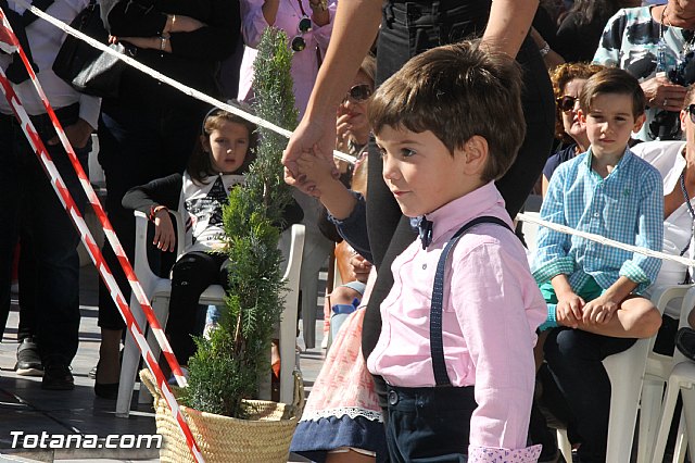 Domingo de tendencias - Totana 2016 - 1188