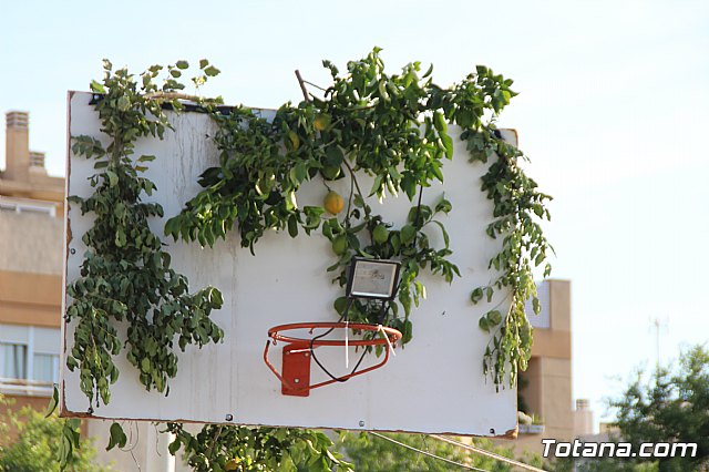 Terrenico gertero y ventorrillos - Recinto ferial 2019 - 20