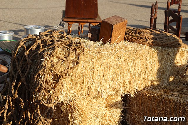 Terrenico gertero y ventorrillos - Recinto ferial 2019 - 28