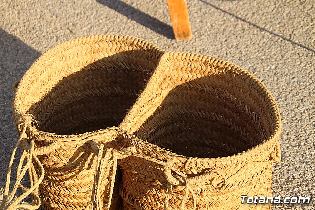 Terrenico gertero y ventorrillos - Recinto ferial 2019 - 32