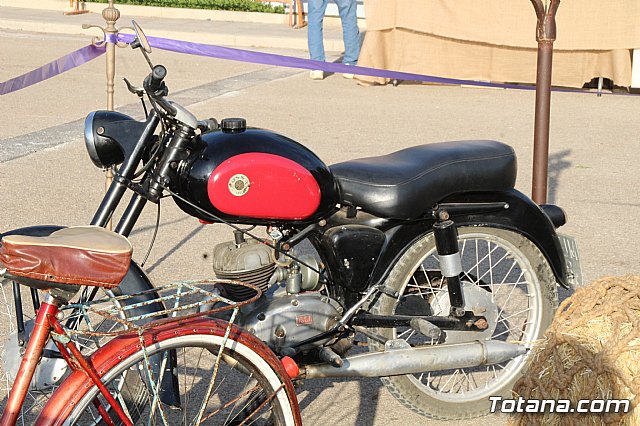 Terrenico gertero y ventorrillos - Recinto ferial 2019 - 35