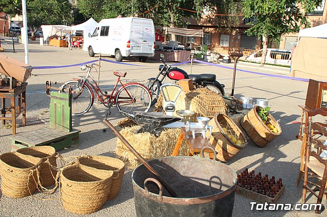 Terrenico gertero y ventorrillos - Recinto ferial 2019 - 36