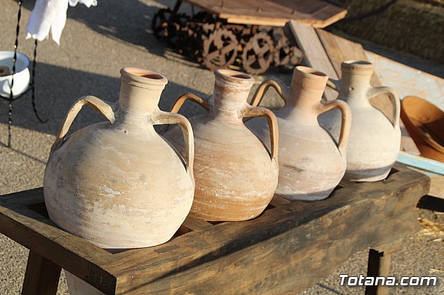 Terrenico gertero y ventorrillos - Recinto ferial 2019 - 39