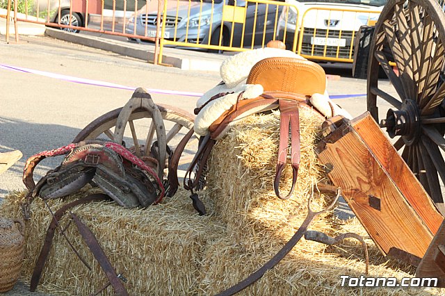 Terrenico gertero y ventorrillos - Recinto ferial 2019 - 44