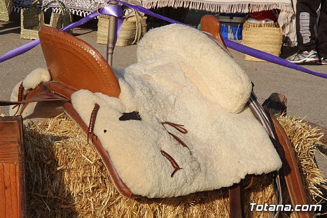 Terrenico gertero y ventorrillos - Recinto ferial 2019 - 46