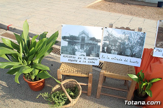 Terrenico gertero y ventorrillos - Recinto ferial 2019 - 50