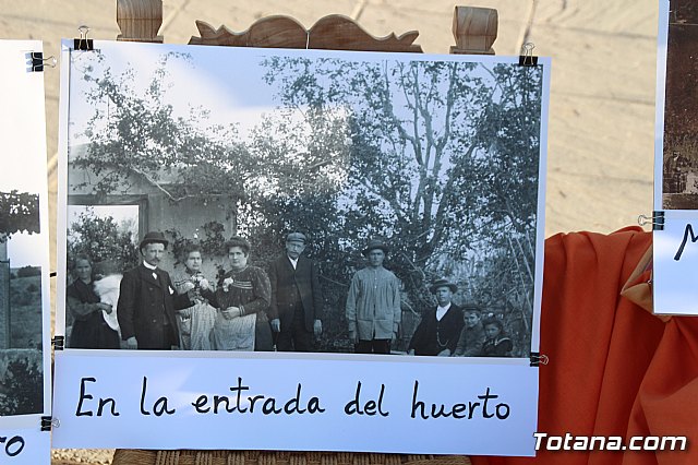 Terrenico gertero y ventorrillos - Recinto ferial 2019 - 52