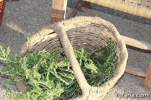 Terrenico gertero y ventorrillos - Recinto ferial 2019 - 54