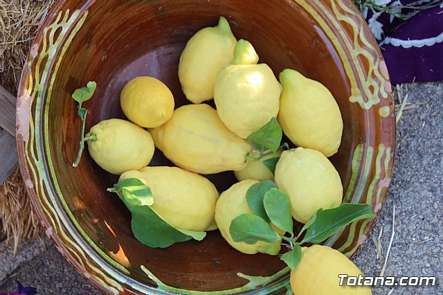 Terrenico gertero y ventorrillos - Recinto ferial 2019 - 55