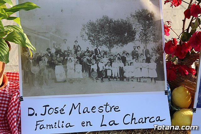 Terrenico gertero y ventorrillos - Recinto ferial 2019 - 56