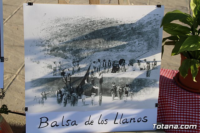 Terrenico gertero y ventorrillos - Recinto ferial 2019 - 57