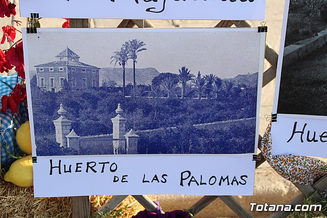 Terrenico gertero y ventorrillos - Recinto ferial 2019 - 61