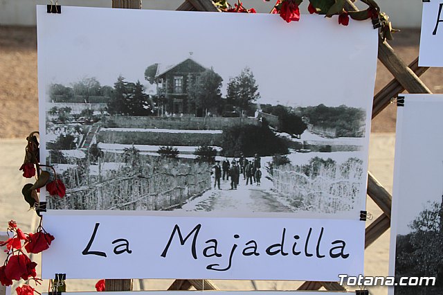 Terrenico gertero y ventorrillos - Recinto ferial 2019 - 62