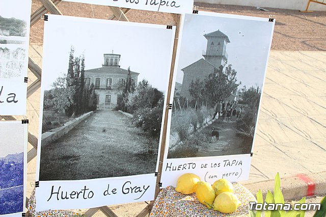 Terrenico gertero y ventorrillos - Recinto ferial 2019 - 63
