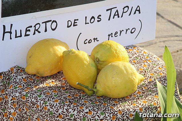 Terrenico gertero y ventorrillos - Recinto ferial 2019 - 64