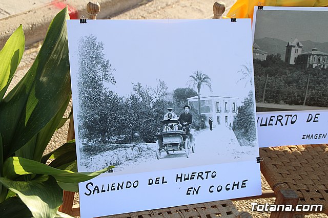 Terrenico gertero y ventorrillos - Recinto ferial 2019 - 65