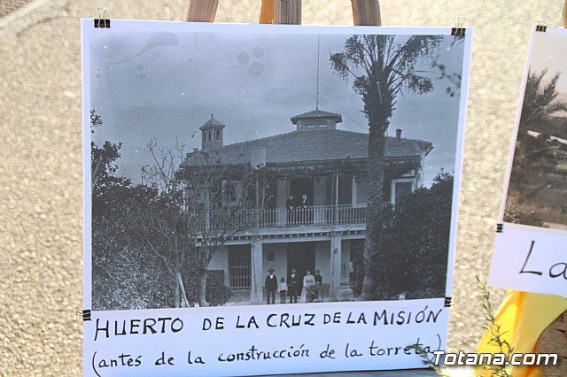 Terrenico gertero y ventorrillos - Recinto ferial 2019 - 68