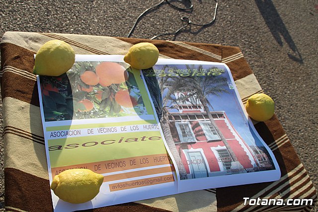 Terrenico gertero y ventorrillos - Recinto ferial 2019 - 70