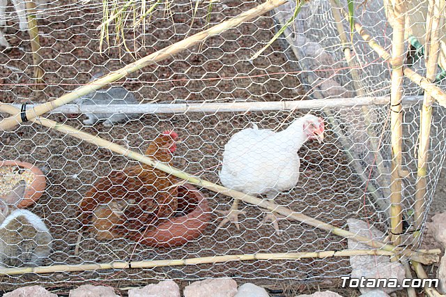 Terrenico gertero y ventorrillos - Recinto ferial 2019 - 89