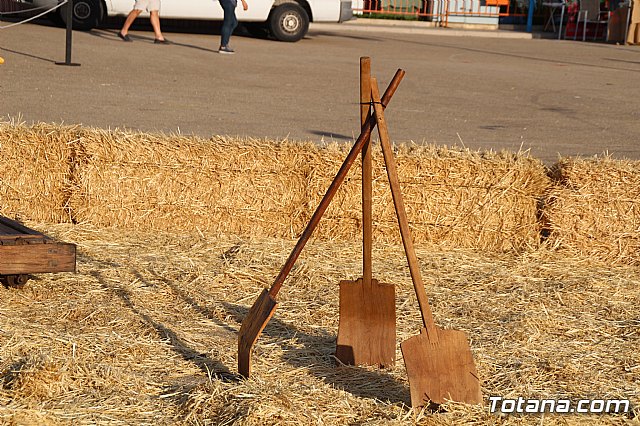 Terrenico gertero y ventorrillos - Recinto ferial 2019 - 104