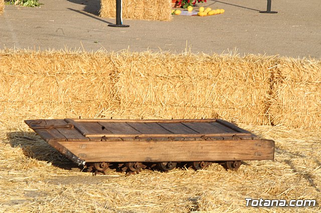 Terrenico gertero y ventorrillos - Recinto ferial 2019 - 105