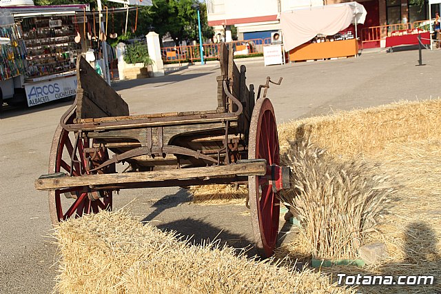 Terrenico gertero y ventorrillos - Recinto ferial 2019 - 106