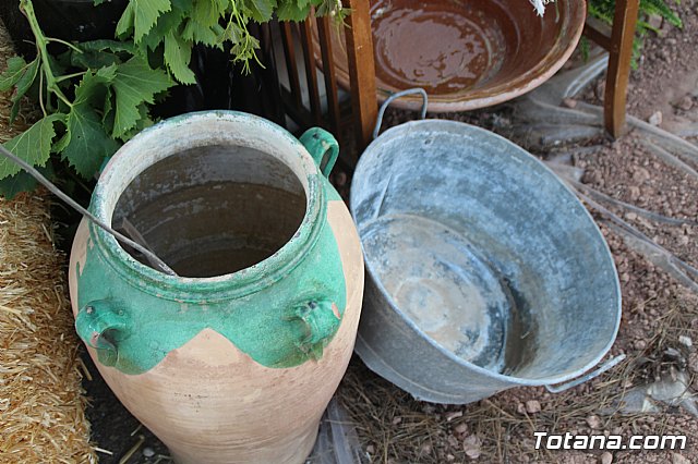 Terrenico gertero y ventorrillos - Recinto ferial 2019 - 130