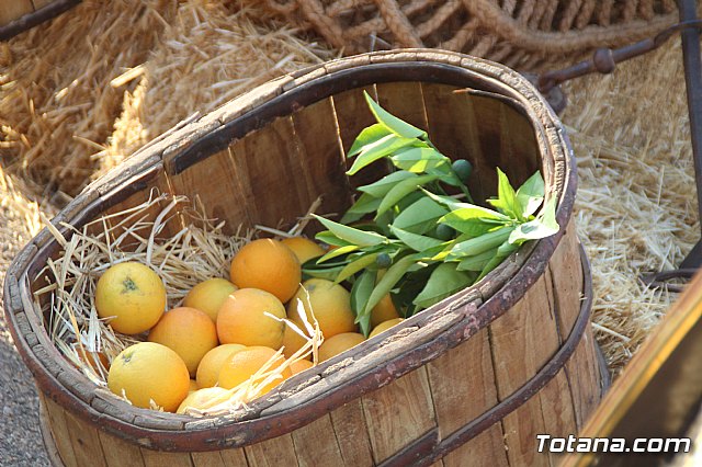 Terrenico gertero y ventorrillos - Recinto ferial 2019 - 169