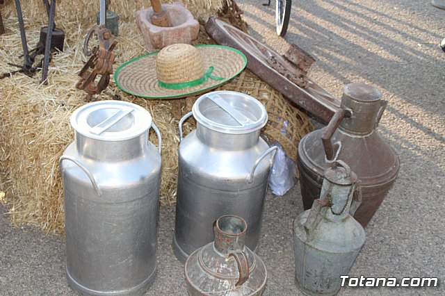 Terrenico gertero y ventorrillos - Recinto ferial 2019 - 171