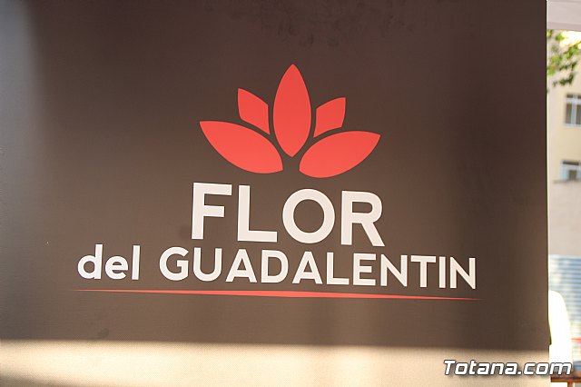 Terrenico gertero y ventorrillos - Recinto ferial 2019 - 172