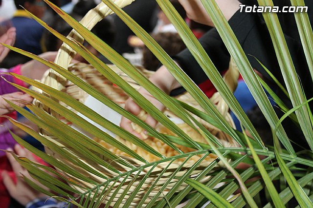 CEIP Tierno Galvn - Sndrome de Down - 108