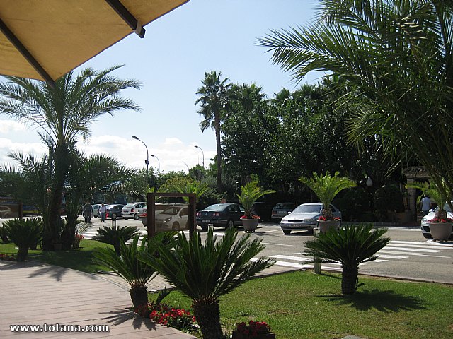 50 aniversario de la Federacin Murciana de Asociaciones de Amas de Casa, Consumidores y Usuarios ThaderConsumo - 98