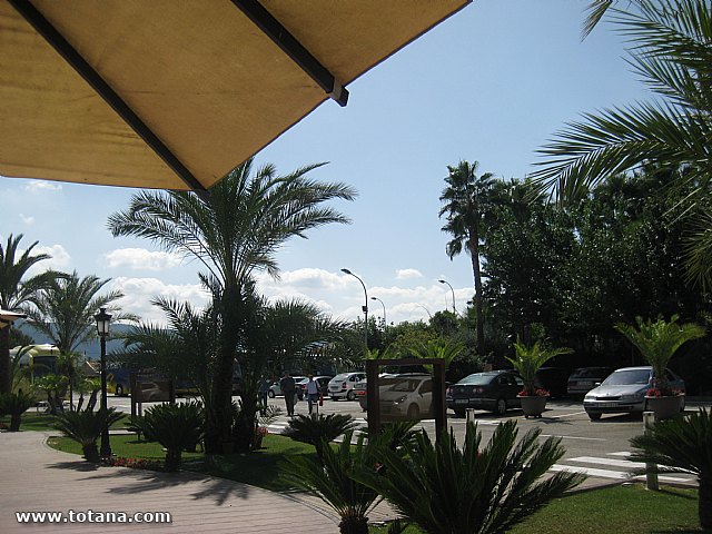50 aniversario de la Federacin Murciana de Asociaciones de Amas de Casa, Consumidores y Usuarios ThaderConsumo - 99
