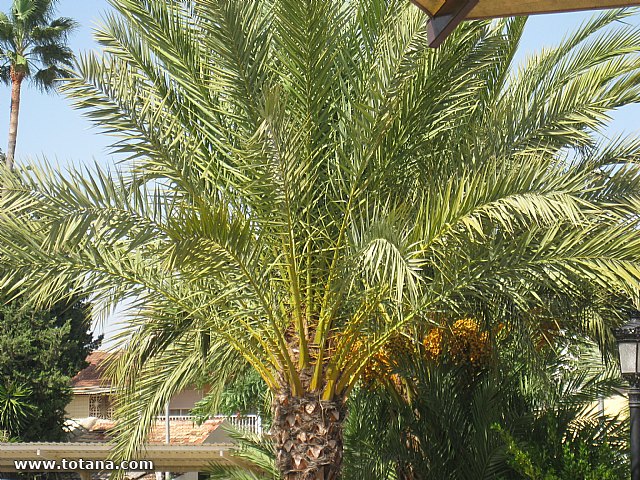 50 aniversario de la Federacin Murciana de Asociaciones de Amas de Casa, Consumidores y Usuarios ThaderConsumo - 100