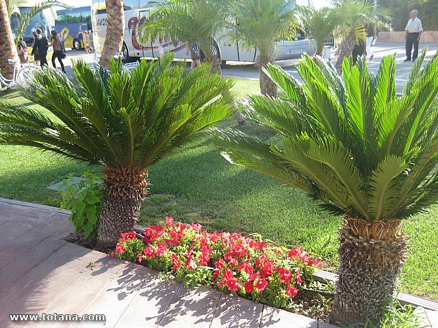 50 aniversario de la Federacin Murciana de Asociaciones de Amas de Casa, Consumidores y Usuarios ThaderConsumo - 112