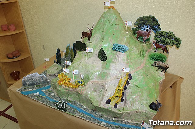 Proyecto educativo #Totaneando - 124