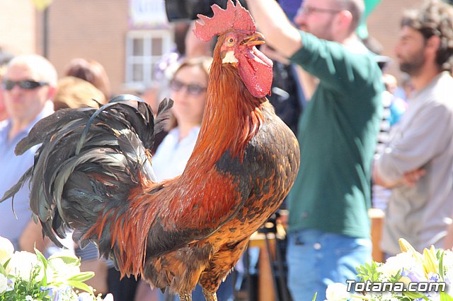 Traslados Jueves Santo - Semana Santa de Totana 2017 - 340