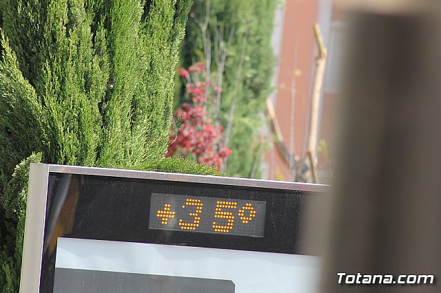 Traslados Jueves Santo - Semana Santa de Totana 2017 - 1153