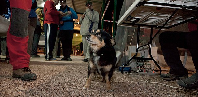 La VII Travesa nocturna de Montaa 