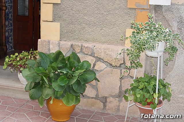 Procesin Tres Avemaras -  Totana 2022 - 135