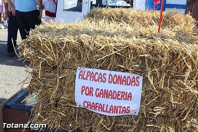 VI Desfile de Tronkomviles - 