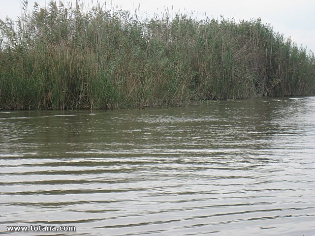 Viaje a Valencia - Septiembre 2015 - 98