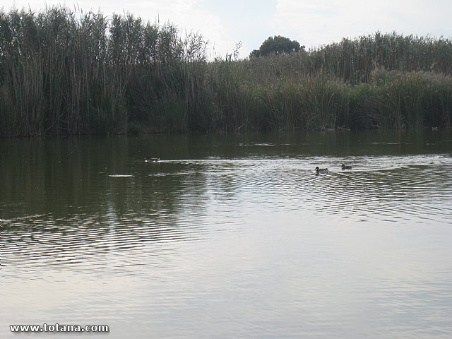 Viaje a Valencia - Septiembre 2015 - 110