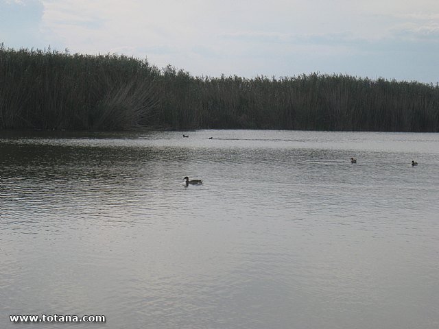 Viaje a Valencia - Septiembre 2015 - 111