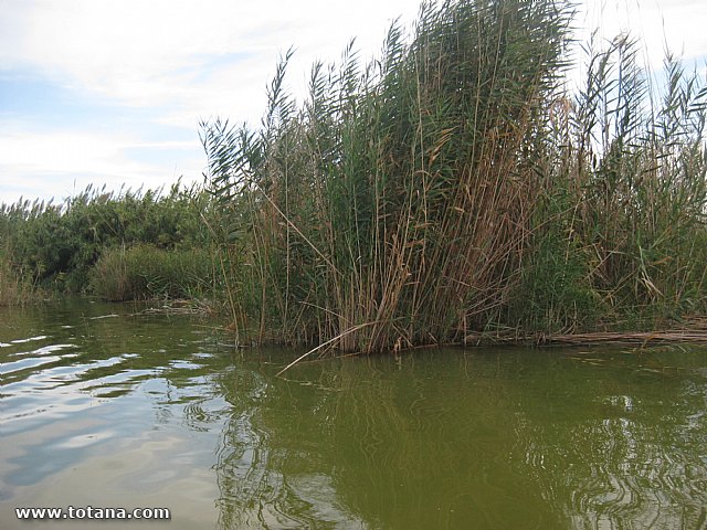 Viaje a Valencia - Septiembre 2015 - 116